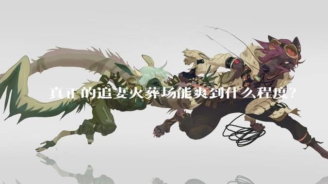 真正的追妻火葬场能爽到什么程度？