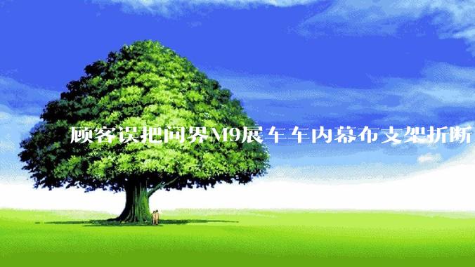 顾客误把问界M9展车车内幕布支架折断，被要求赔偿7000-10000元，你怎么看？