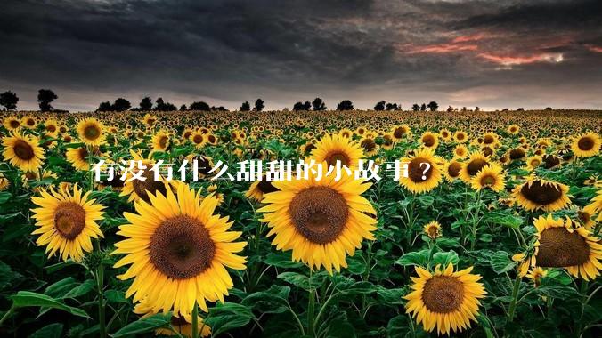 有没有什么甜甜的小故事?