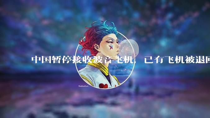 中国暂停接收波音飞机，已有飞机被退回美国，如何看待此事？后续将如何发展？
