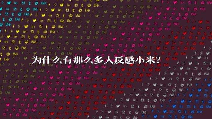 为什么有那么多人反感小米？