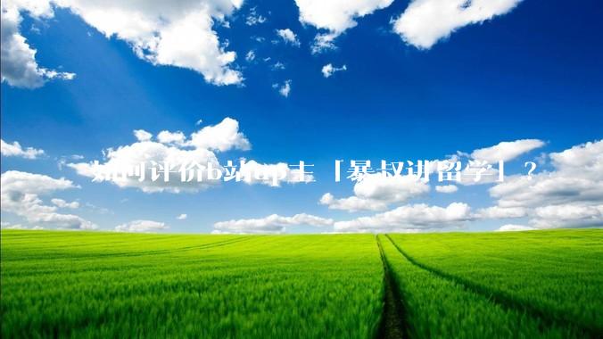 如何评价b站up主「暴叔讲留学」？