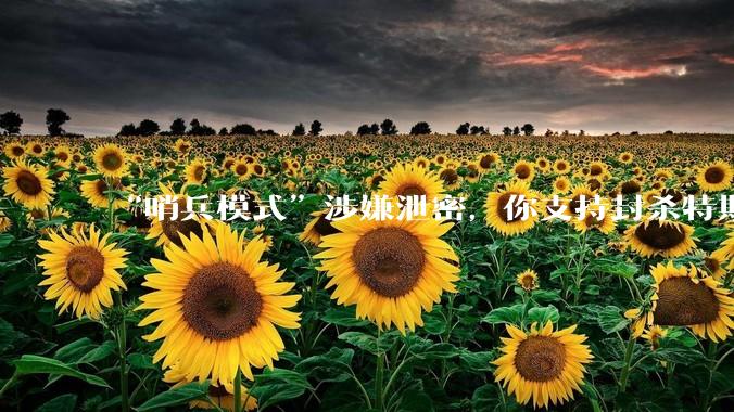 “哨兵模式”涉嫌泄密，你支持封杀特斯拉吗？