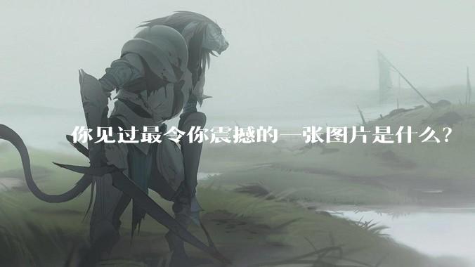 你见过最令你震撼的一张图片是什么？