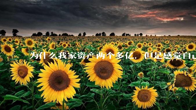 为什么我家资产两个多亿，但是感觉自己生活还是很普通？
