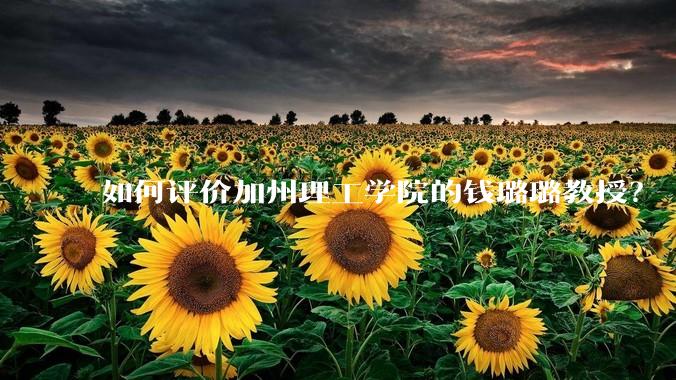 如何评价加州理工学院的钱璐璐教授？