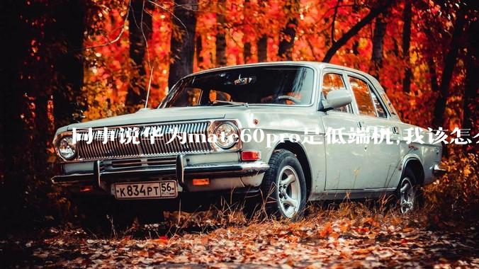 同事说华为mate60pro是低端机,我该怎么反驳？